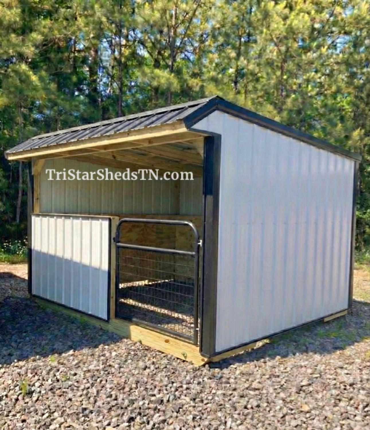 10x12 RUN IN SHED