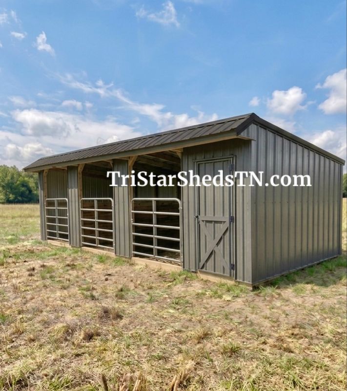 10x30 THREE STALL SHEDROW With 6’ Gates