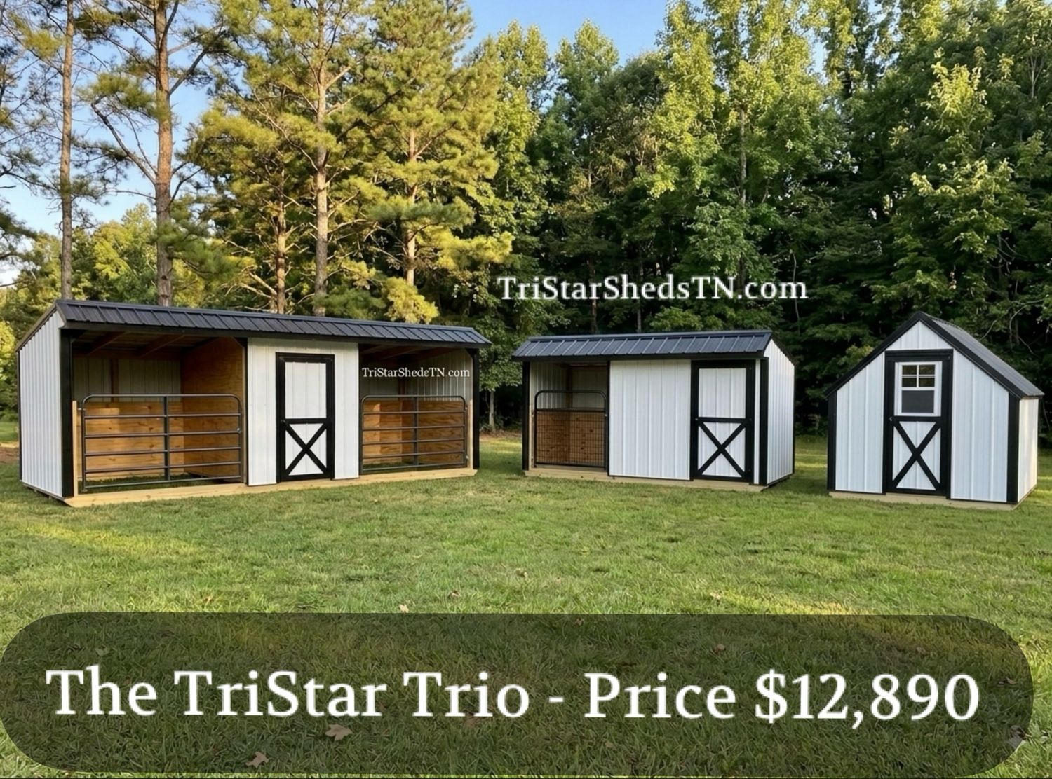 TRISTAR TRIO DEAL