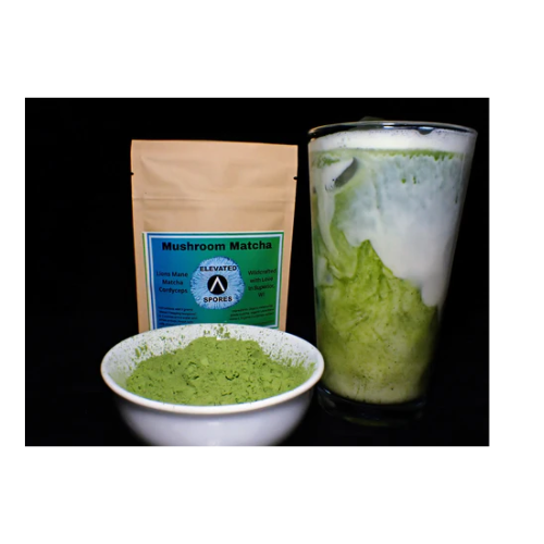 Mushroom Matcha, Type: Regular