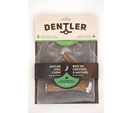 Jawgler (Dentler) - Bois de cervidé entier / Naturel