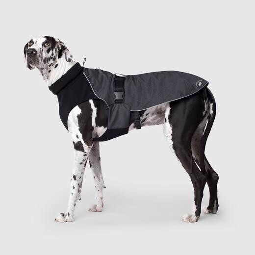 Canada Pooch Manteau Expedition Noir