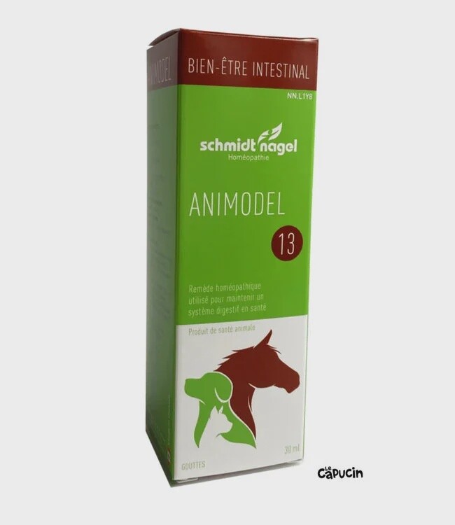 ANIMODEL 13 - SANTÉ INTESTINALE