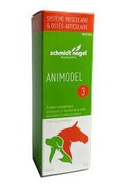 ANIMODEL 3 - MUSCLES/ARTICULATIONS