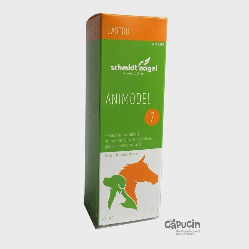 ANIMODEL 7 - GASTRO