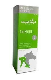 ANIMODEL 4 - OS ET DENTS