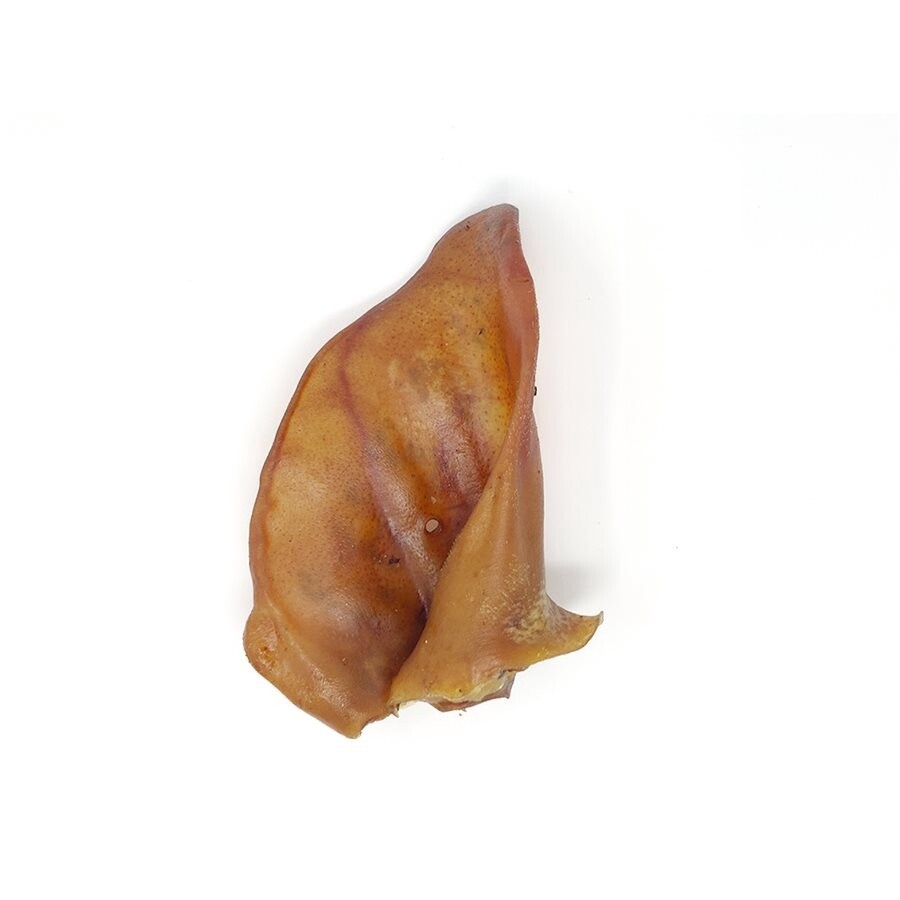 Oreille de porc géante - Unité