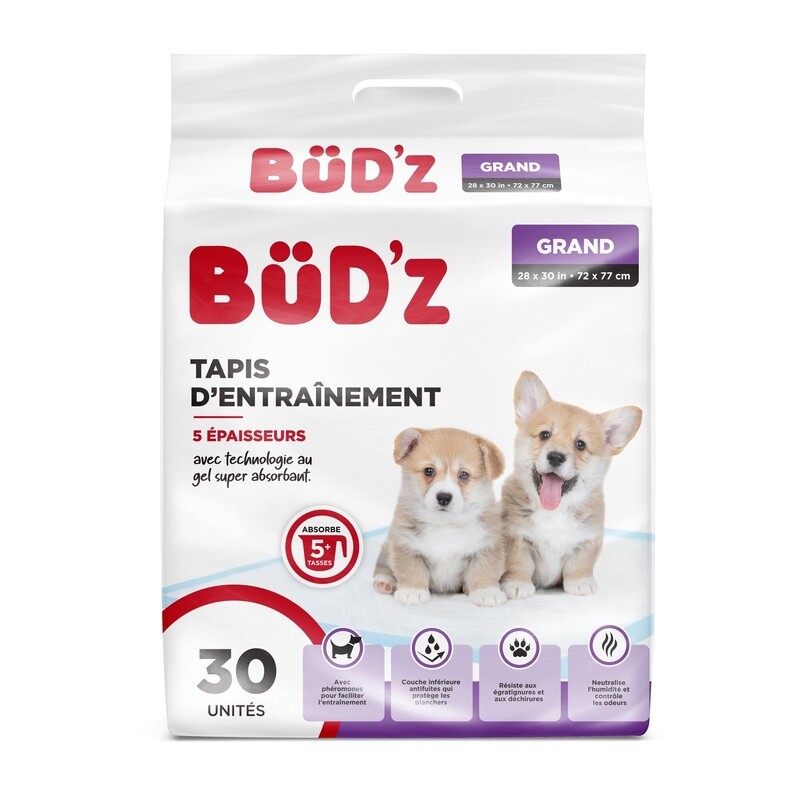 Bud&#39;z - Tapis d&#39;entraînement / Grand (28 x 30 po) - Paquet de 30