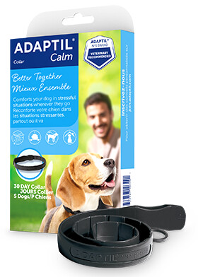 Adaptil - Calm Collier calmant pour chien, Taille: Petit