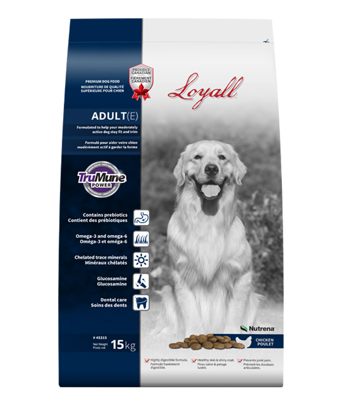 Loyall CHIEN ADULTE 15KG