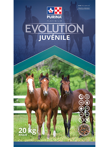 Purina Evolution Juvénile 20 kg