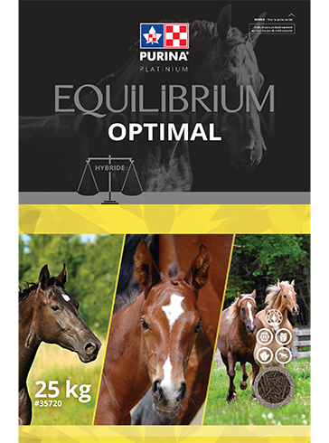 Purina Equilibrium OPTIMAL 25 kg