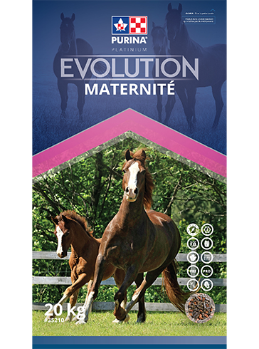Purina Evolution Maternité 20 kg
