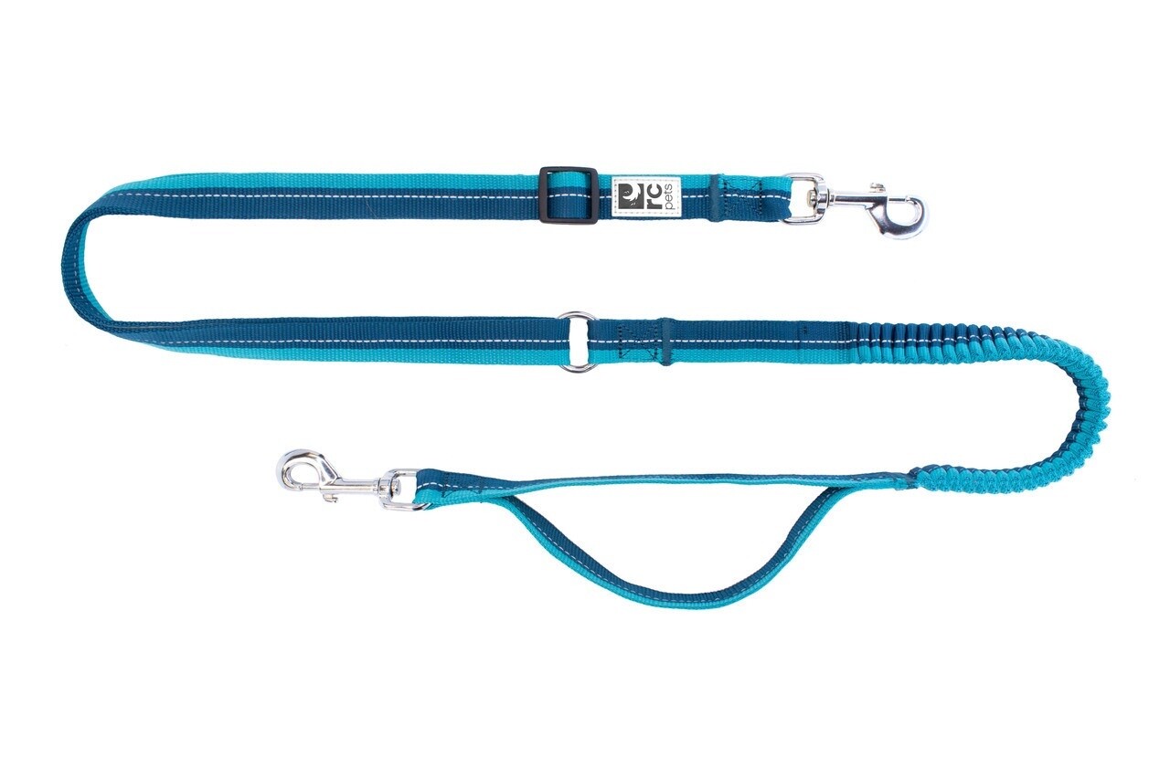 RC Pets - Laisse bungee Active, Couleur: Turquoise/Bleue