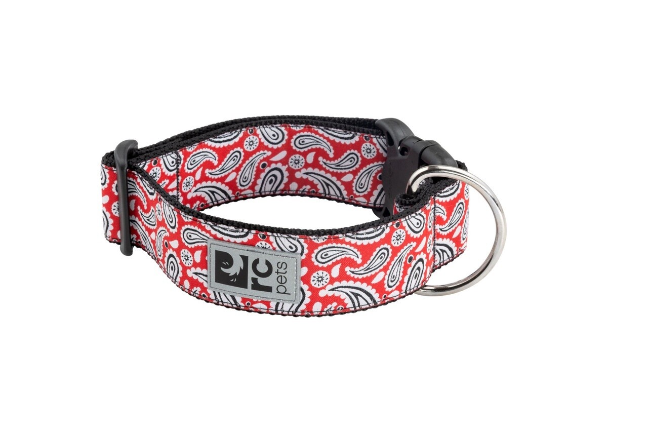RC Pets - Collier Large / Rebel