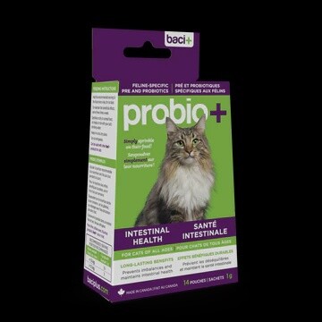 Baci+ Probiotique pour chat / Boîte 14g