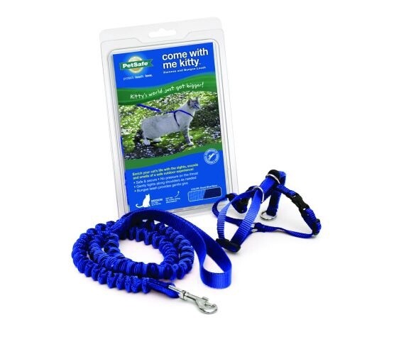 Petsafe Harnais et laisse bungee pour chat - BLEU S/P
