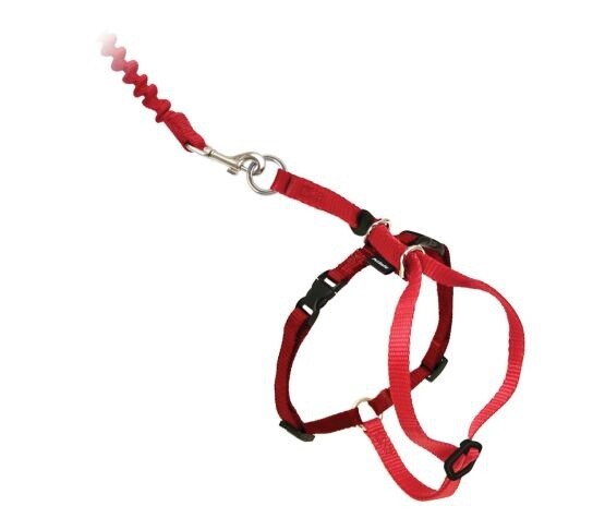 Petsafe Harnais et laisse bungee pour chat - ROUGE L/G