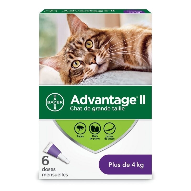 Advantage II - Gouttes anti-puces pour chats 4kg+