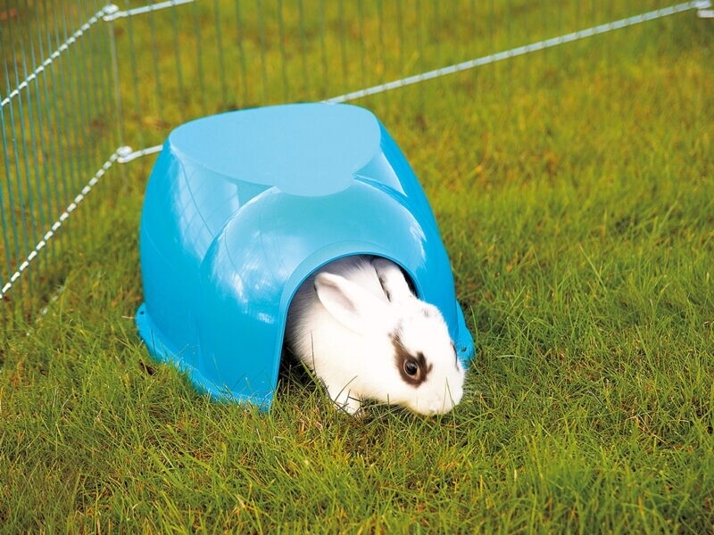 Savic maison Cocoon