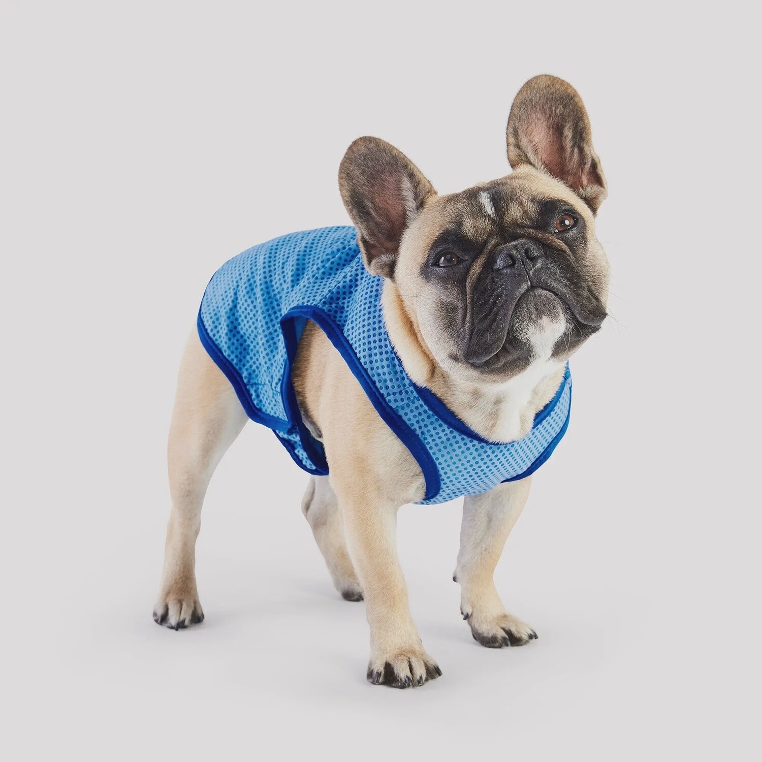 GF Pet Veste refroidissante - Medium