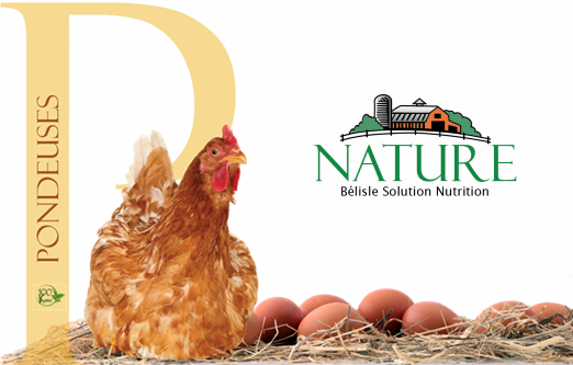 Nature Bélisle Ponte Bio Avigrain - 25kg