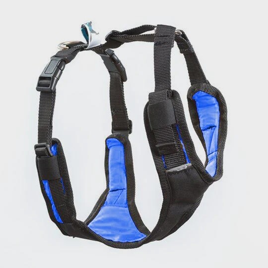 Winterson Harnais demi-dos - BLEU / M