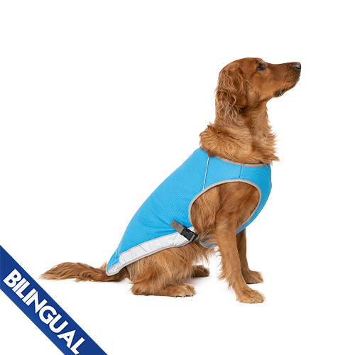 Canada Pooch - Chill Seeker / Veste refroidissante pour chien