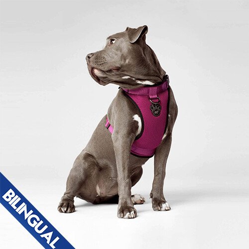 Canada Pooch - Harnais tout-usage