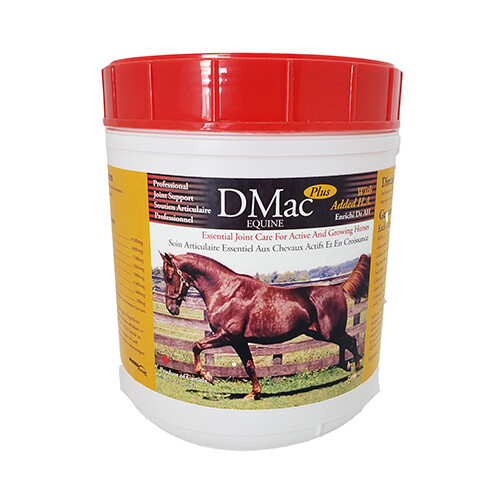 McIntosh Pro Line DMac - Supplément articulaire pour chevaux