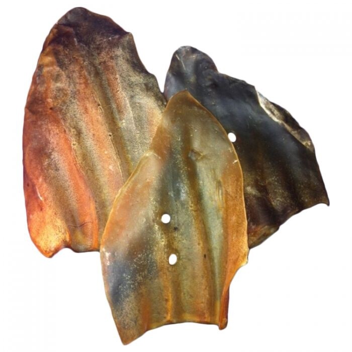 Oreille de Boeuf - Unité