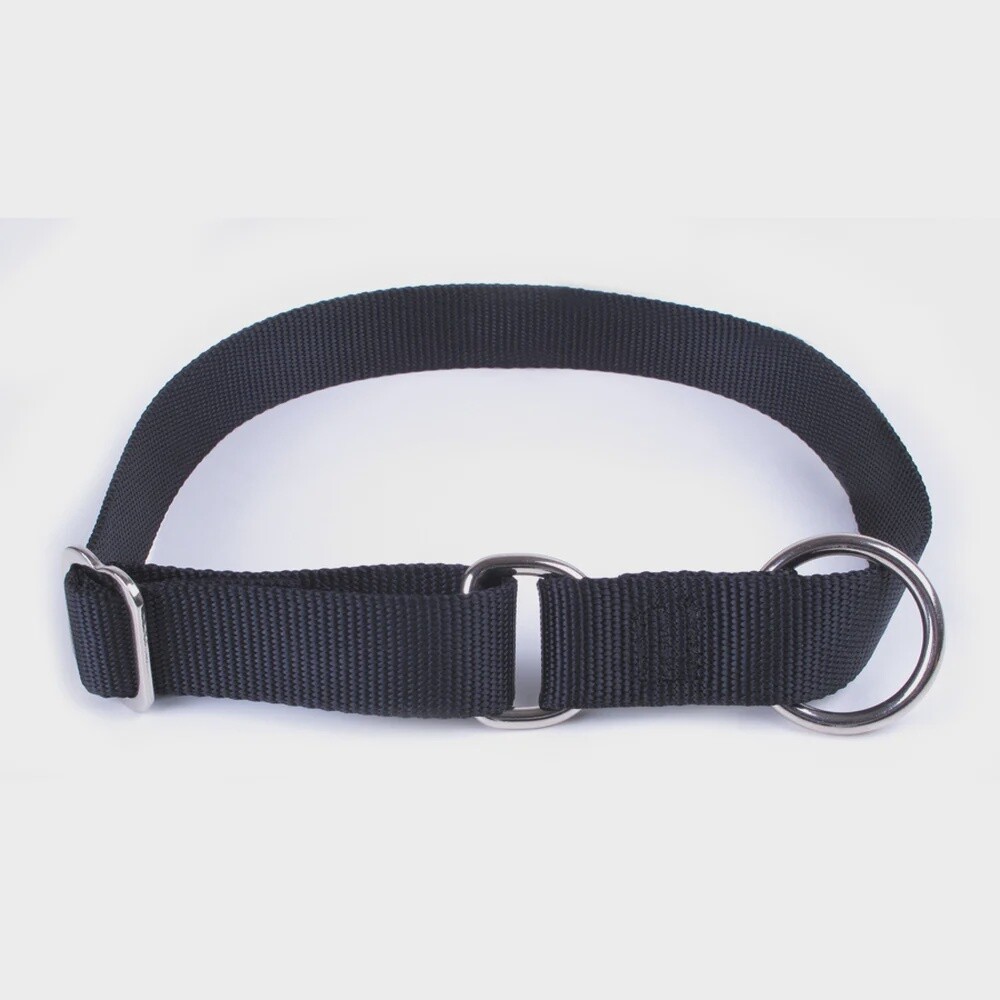 Hunter - Collier de traineau - Noir 2&#39;&#39; x 20-30&#39;&#39;