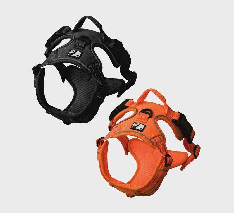 Le Chien Blanc harnais MOE - Noir