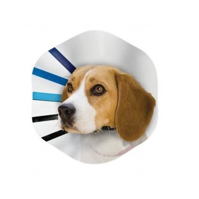 Kong - Collier élisabéthain / Large