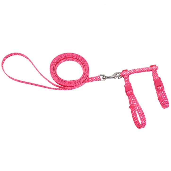 Coastal - Combo harnais 3/8&quot;x10-18&quot; + laisse 6&#39; CHAT, Couleur: PDT - Pois/Rose