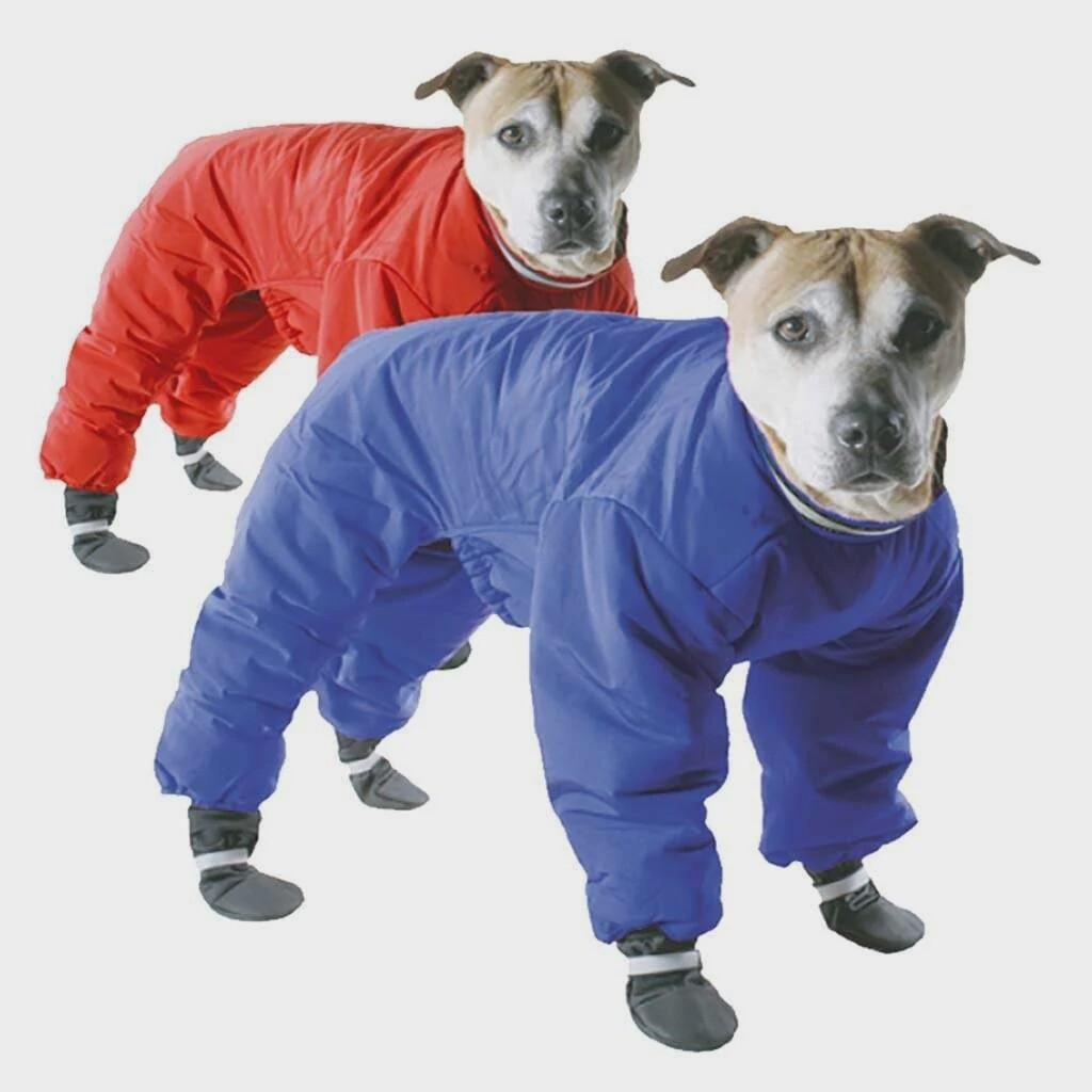 Muttlucks Manteau pour chien - Rouge-Bleu / 26&quot;