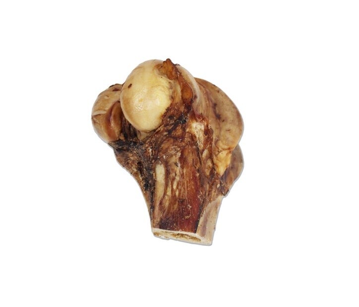 Open Range - Jarret de bœuf / Large