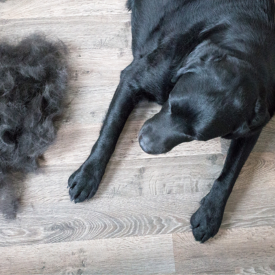 Brosses et peignes