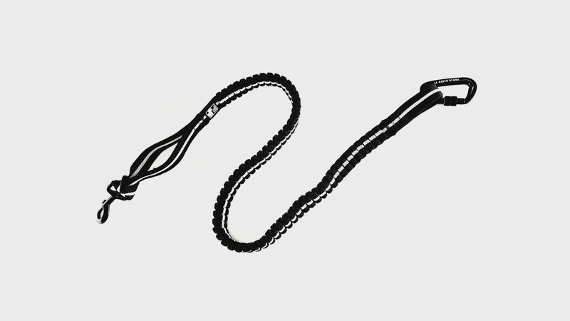 Le Chien Blanc - Laisse de canicross Bungee Pro Canix