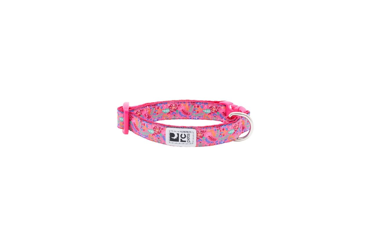 RC Pets - Collier à motifs pour petits chiens
