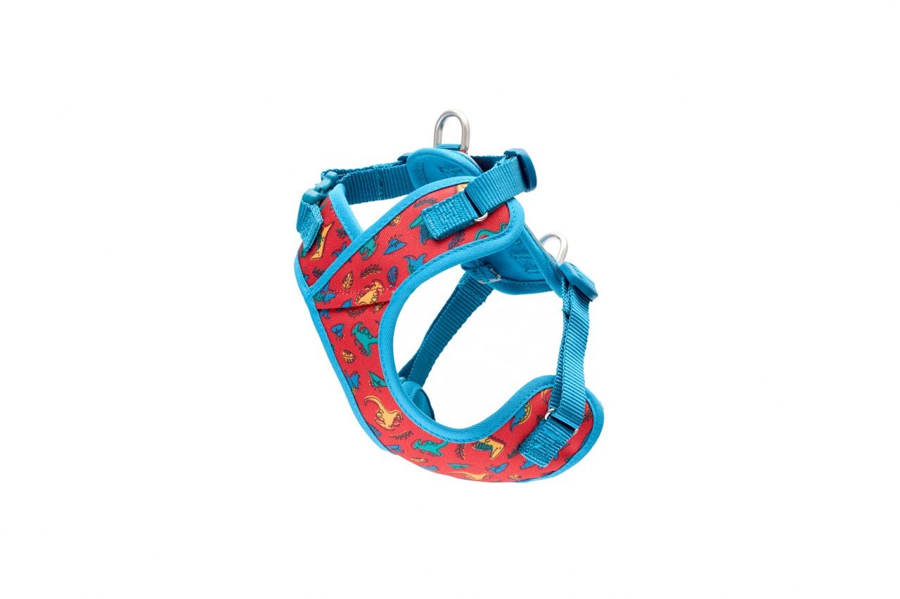 RC Pets- Harnais pour petit chien, Taille: XXS/TTP, Couleur: Dinos/Bleu