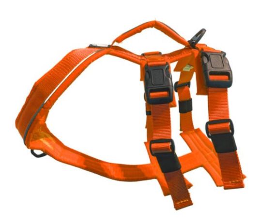 Le Chien Blanc - Harnais d&#39;aventure ATLAS - ORANGE