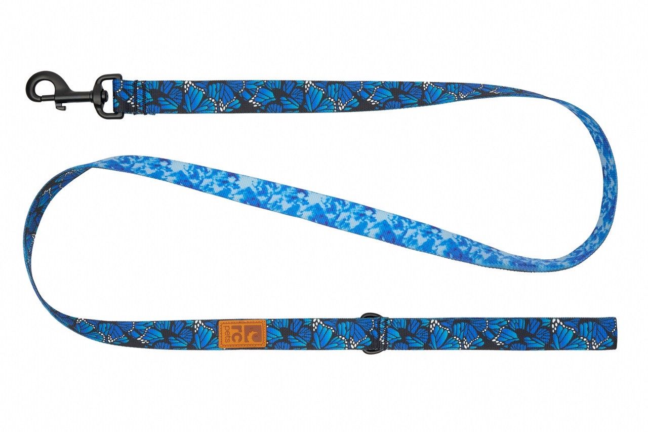 RC Pets - Laisse Éco / Papillons, Taille: 1 po x 5 pi
