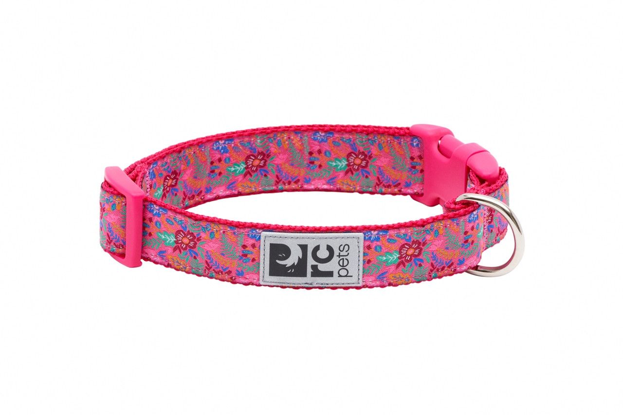 RC Pets - Collier à motifs Frida pour chien, Taille: TP (XS)