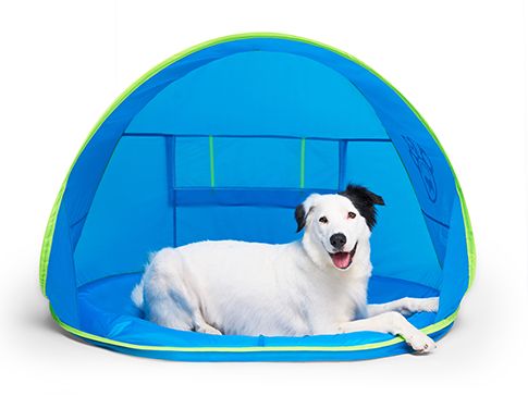 Canada Pooch Chill Seeker - Station de refroidissement