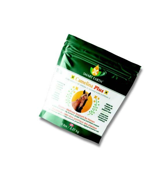 Camelina Plus - Bien-être gastrique
