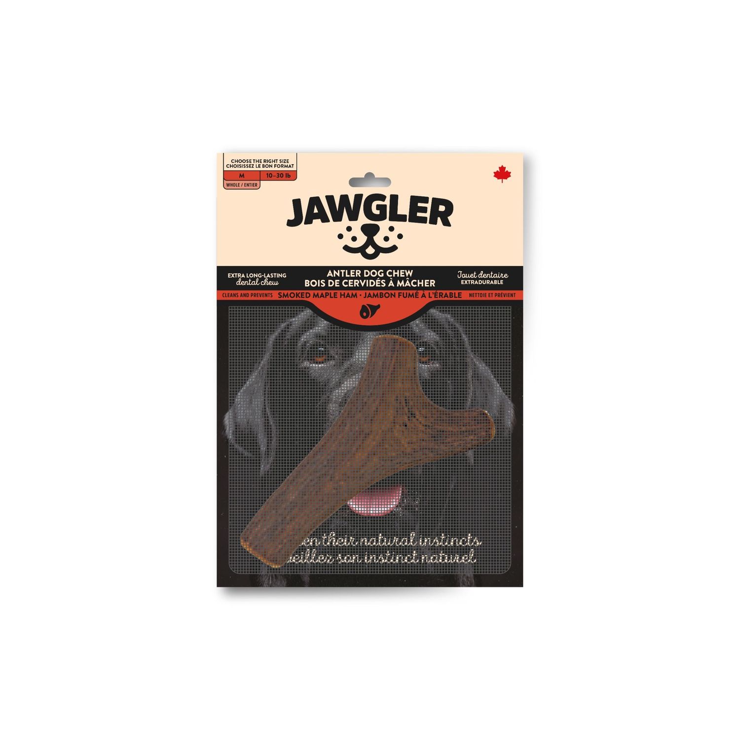 Jawgler bois de cervidé entier - Jambon fumé, Taille: Moyen