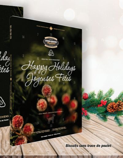 OBT Calendrier de l&#39;avent 2025 pour chien