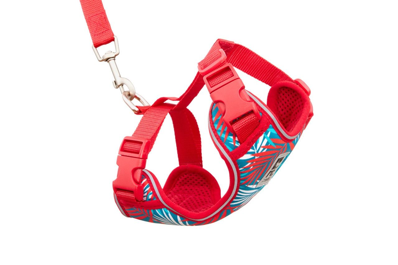 RC Pets-Harnais pour chat-Adventure Kitty, Grandeur: Petit