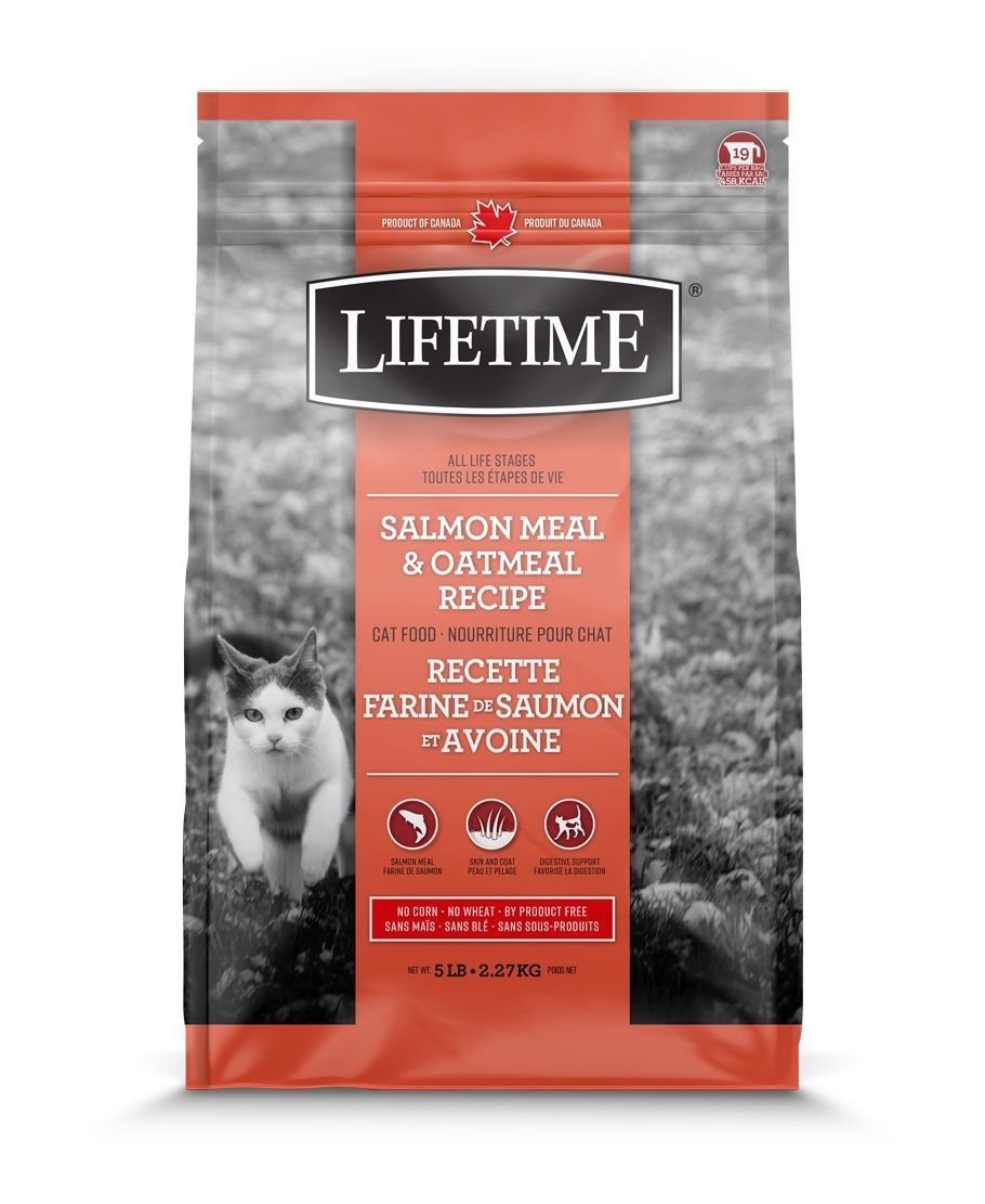 Lifetime - Chat toutes étapes de vie/Saumon &amp; avoine, Format: 2.27 kg (5 lb)